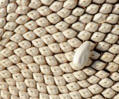 Culture & Patrimoine : préserver l’identité et faire vivre la mémoire locale