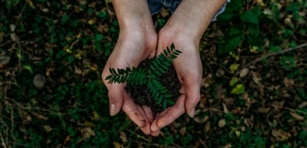 Environnement : préserver le cadre de vie et accompagner la transition locale